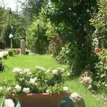 La Terrazza Del Subasio Bed and breakfast