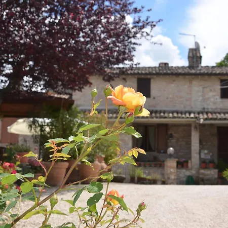 La Terrazza Del Subasio