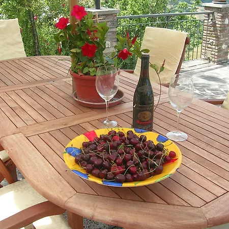 La Terrazza Del Subasio Bed and breakfast 4*