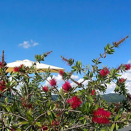 La Terrazza Del Subasio