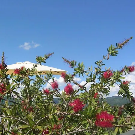 La Terrazza Del Subasio