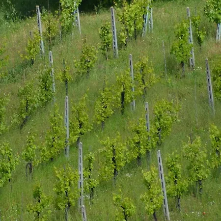 Panzió La Terrazza Del Subasio