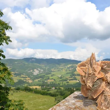 La Terrazza Del Subasio 4* Asís