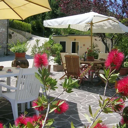 Bed & Breakfast La Terrazza Del Subasio