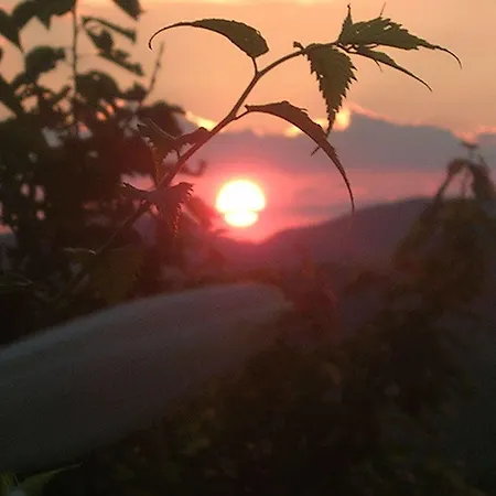 La Terrazza Del Subasio 2*