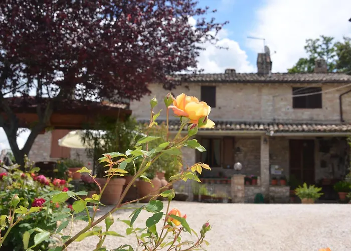 La Terrazza Del Subasio