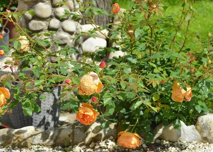 Nocleg ze śniadaniem La Terrazza Del Subasio Asyż