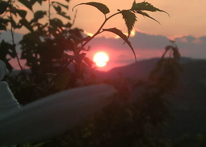 La Terrazza Del Subasio Asyż
