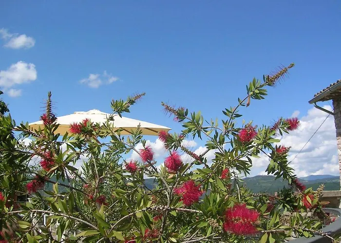 La Terrazza Del Subasio