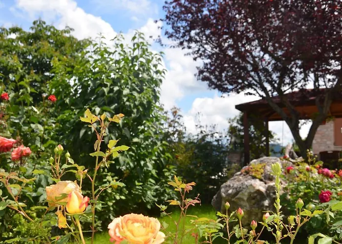 Bed and breakfast La Terrazza Del Subasio Asís
