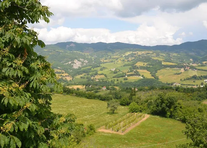 La Terrazza Del Subasio Bed and breakfast 4*
