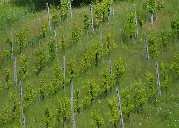 Nocleg ze śniadaniem La Terrazza Del Subasio
